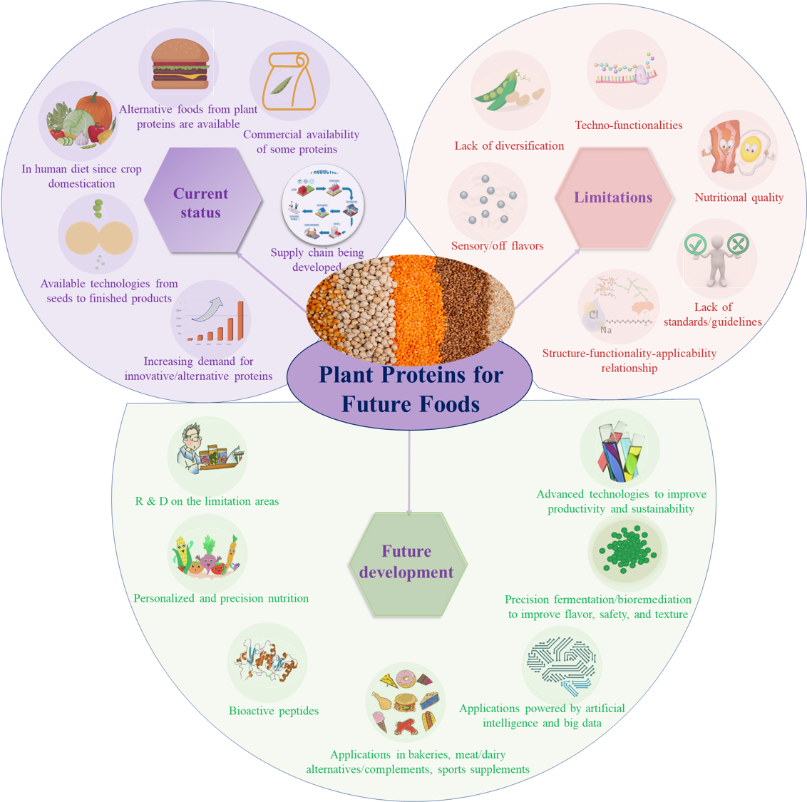 plant proteins